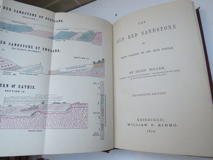 The Old Red Sandstone Or New Walks In An Old Field By Hugh Miller 1870 book image 3