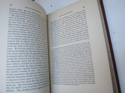 The Old Red Sandstone Or New Walks In An Old Field By Hugh Miller 1870 book image 5