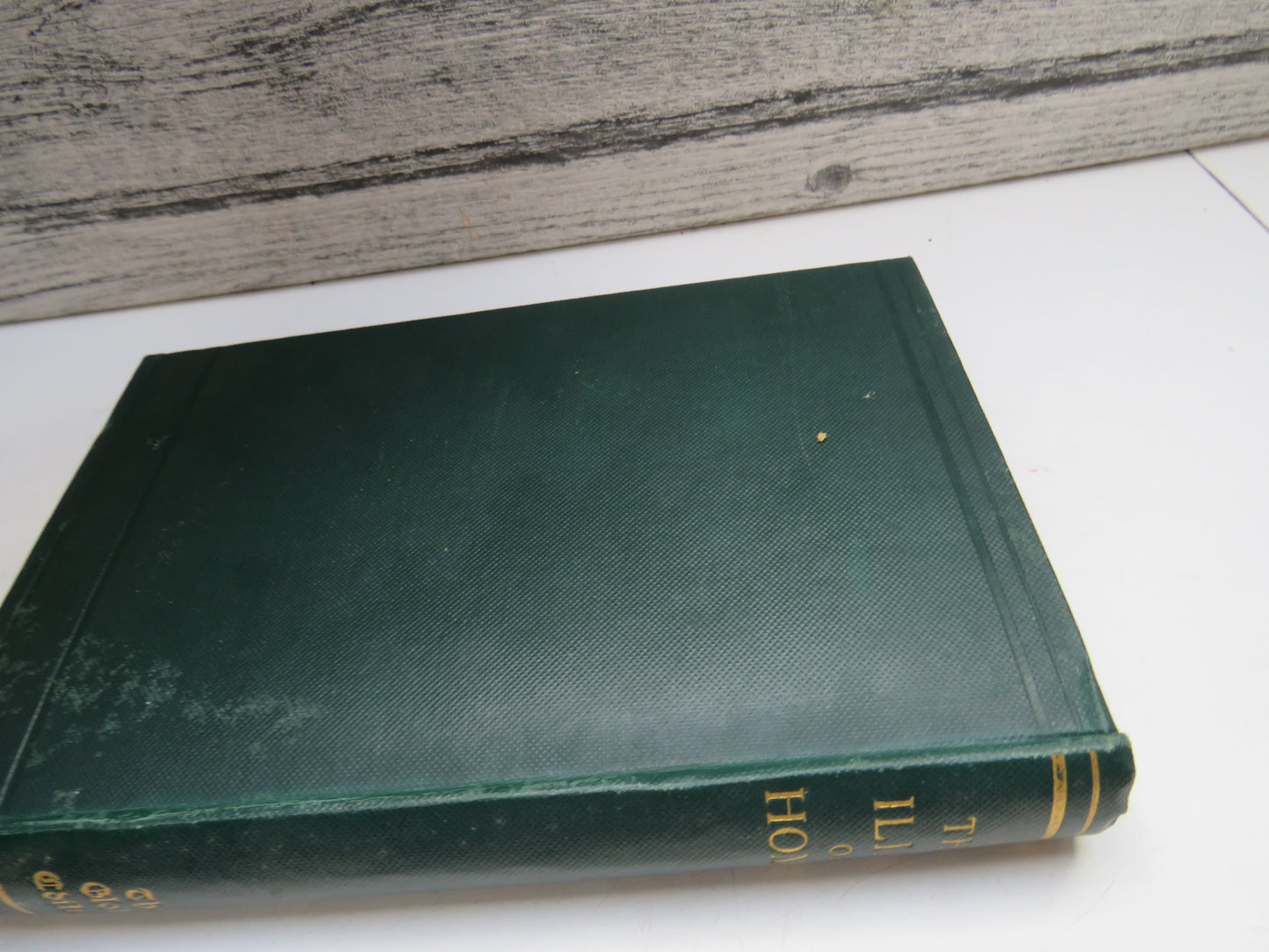 The Iliad of Homer Done Into English Prose By Andrew Lang 1923