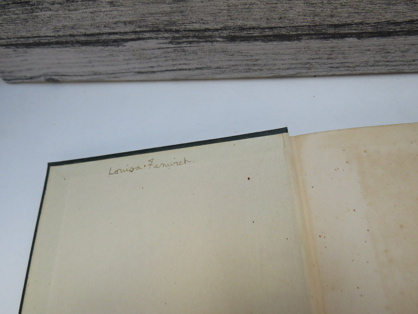 The Iliad of Homer Done Into English Prose By Andrew Lang 1923