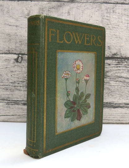 Flowers By Janet Harvey Kelman Described By C.E. Smith