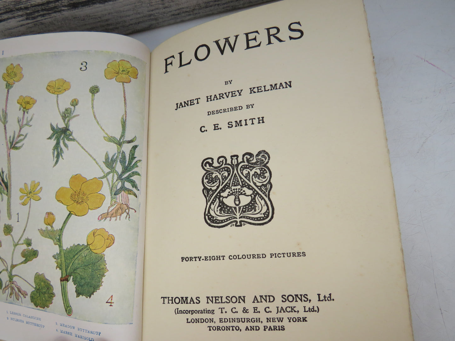 Flowers By Janet Harvey Kelman Described By C.E. Smith