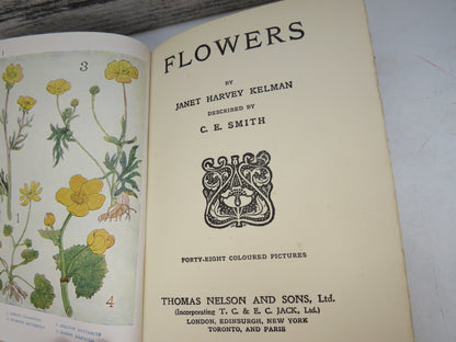 Flowers By Janet Harvey Kelman Described By C.E. Smith