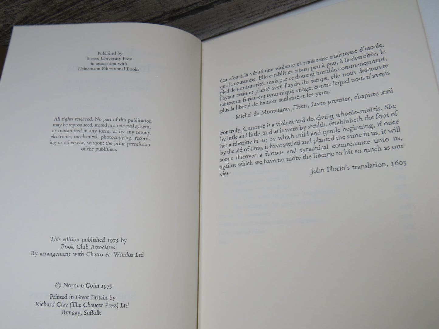Europe's Inner Demons An Inquiry Inspired By The Great Witch Hunt By Norman Cohn 1975