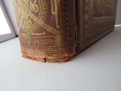 The History of Don Quixote By Cervantes Illustrated By Gustave Dore book image 4