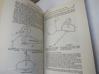 The Complete Wildflower (Ashore and Afloat) By Stanley Duncan and Guy Thorne 1950 book image 5
