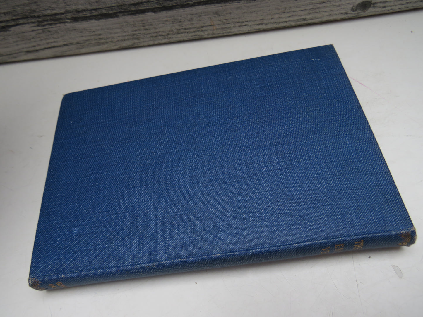 A Treasury of English Verse Selected By Adam. L. Gowans 1928