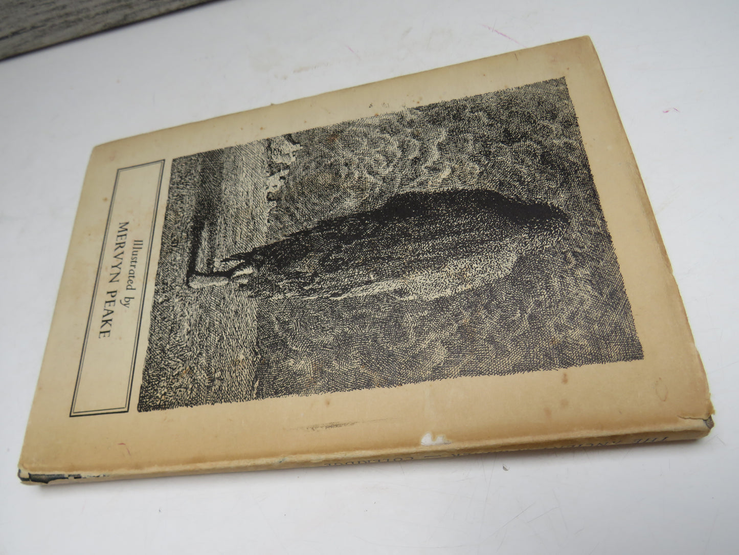 The Rime of The Ancient Mariner By Samuel Taylor Coleridge Illustrated By Mervyn Peake