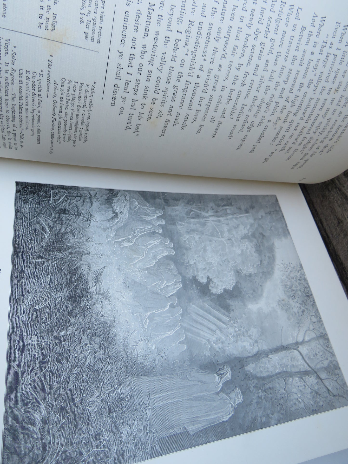 The Vision of Purgatory and Paradise By Dante Alighieri Illustrated By Gustave Dore Large Heavy Book