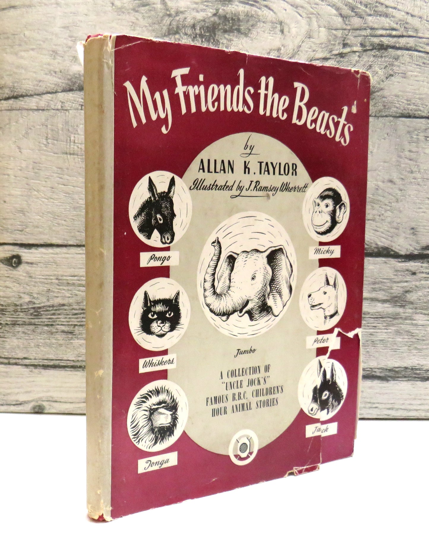 My Friends The Beasts By Allan K. Taylor