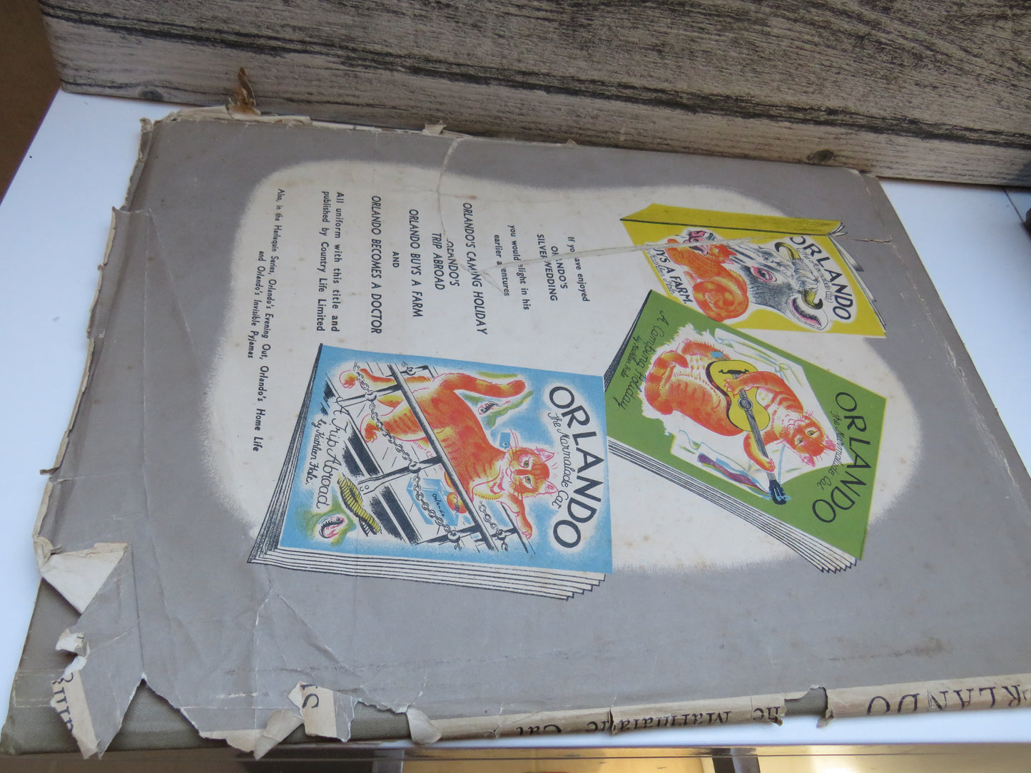 Orlando (The Marmalade Cat) His Silver Wedding By Kathleen Hale 1946