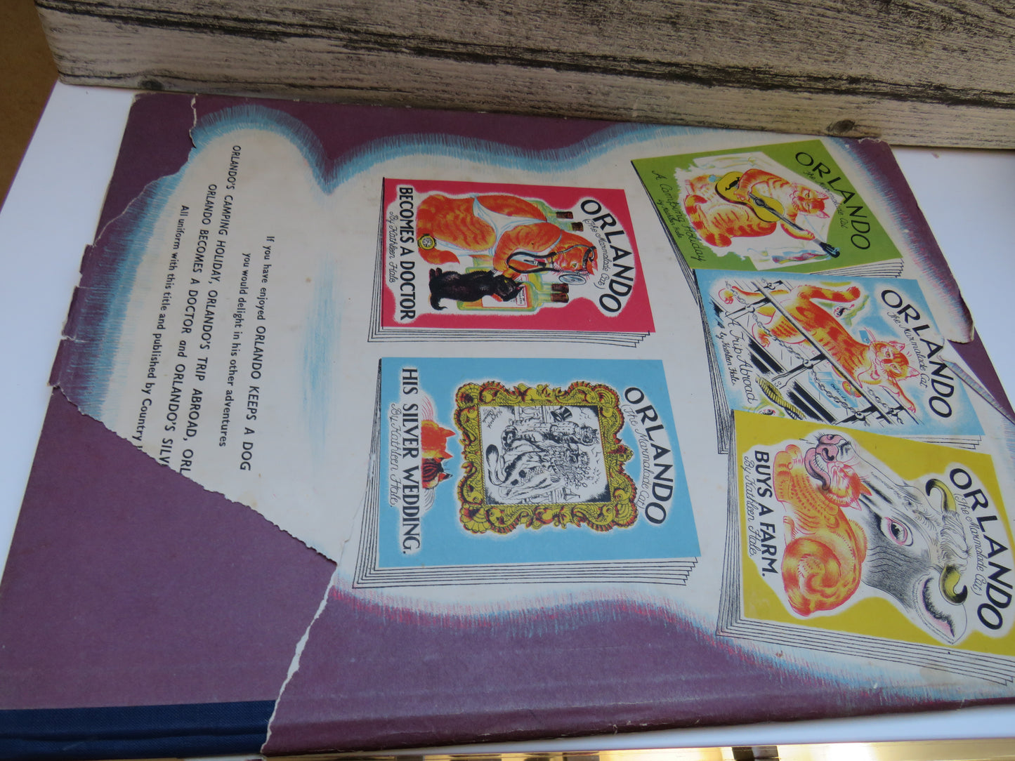 Orlando (The Marmalade Cat) Keeps a Dog By Kathleen Hale