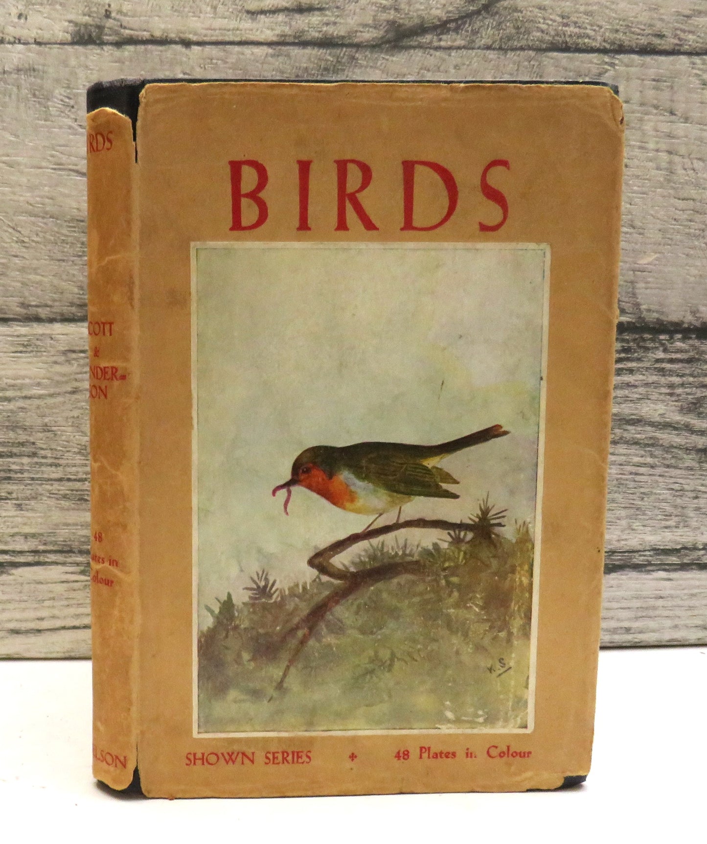 Birds By M.K. C. Scott Described By J.A. Henderson
