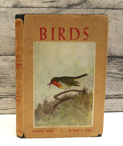 Birds By M.K. C. Scott Described By J.A. Henderson