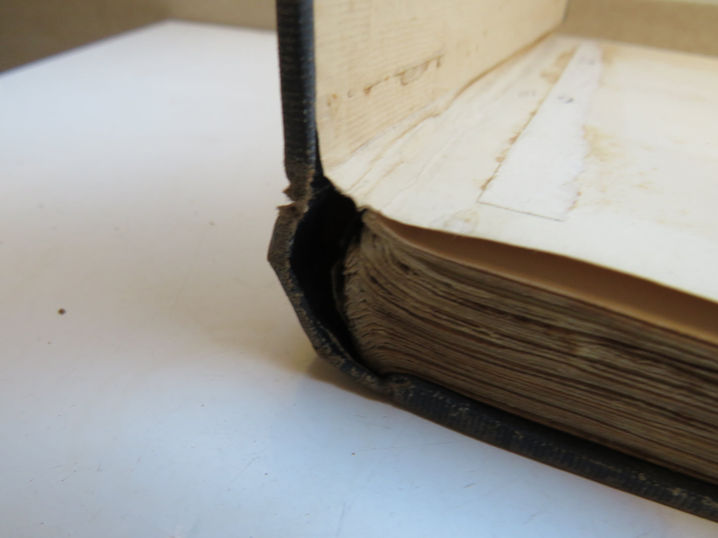 Essays On Economics By H. Stanley Jevons 1905