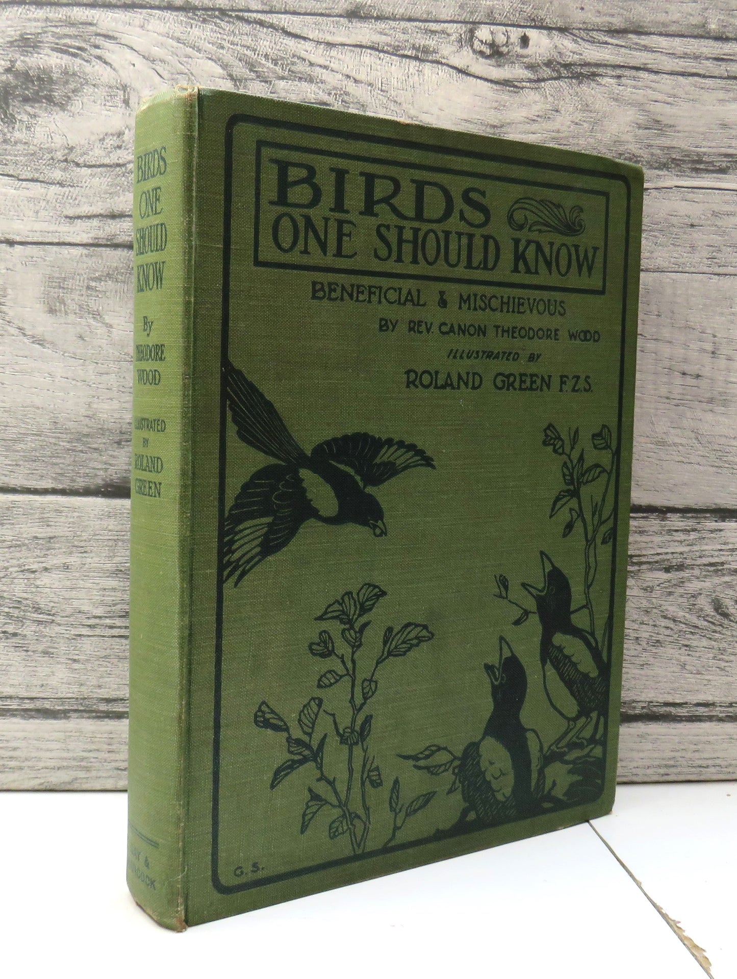 Birds One Should Know Beneficial and Mischievous By The Rev. Canon Theodore Wood 1925