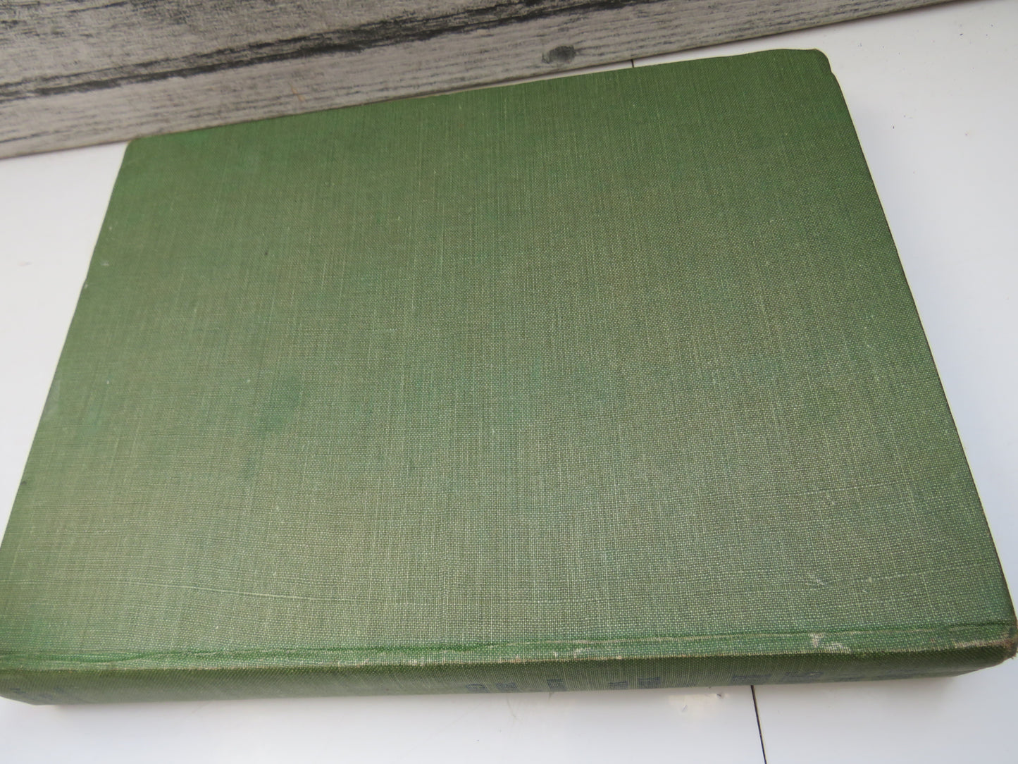 Birds One Should Know Beneficial and Mischievous By The Rev. Canon Theodore Wood 1925