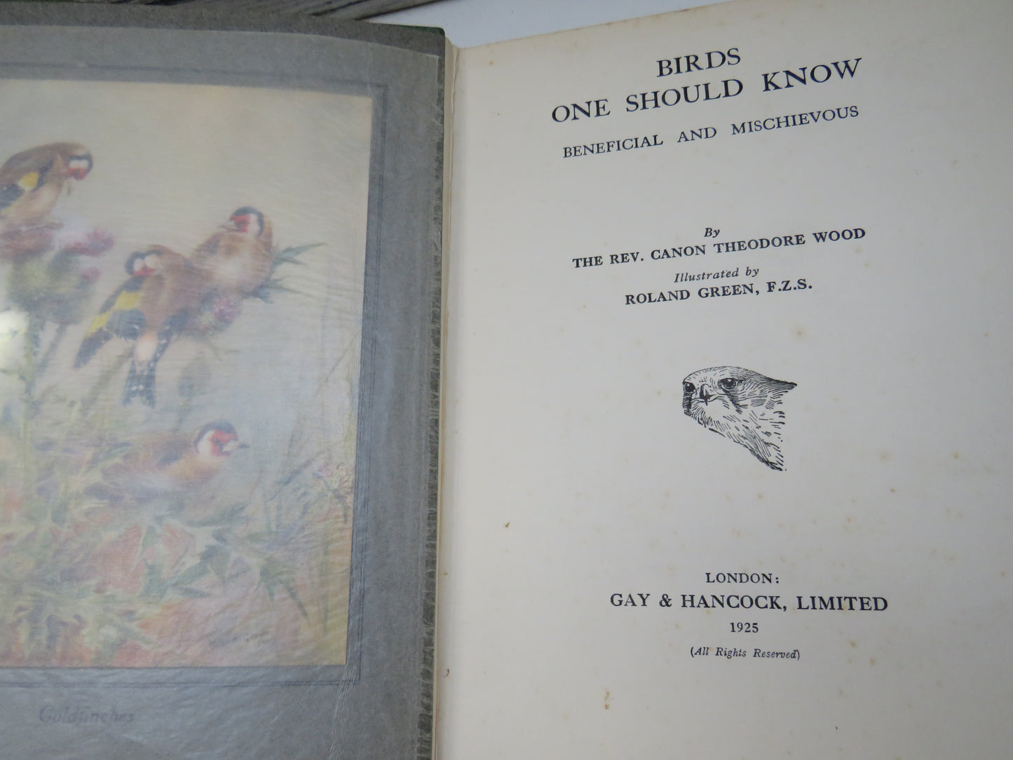 Birds One Should Know Beneficial and Mischievous By The Rev. Canon Theodore Wood 1925