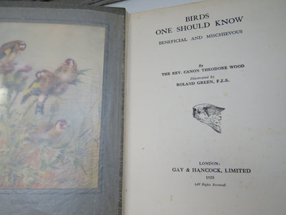 Birds One Should Know Beneficial and Mischievous By The Rev. Canon Theodore Wood 1925
