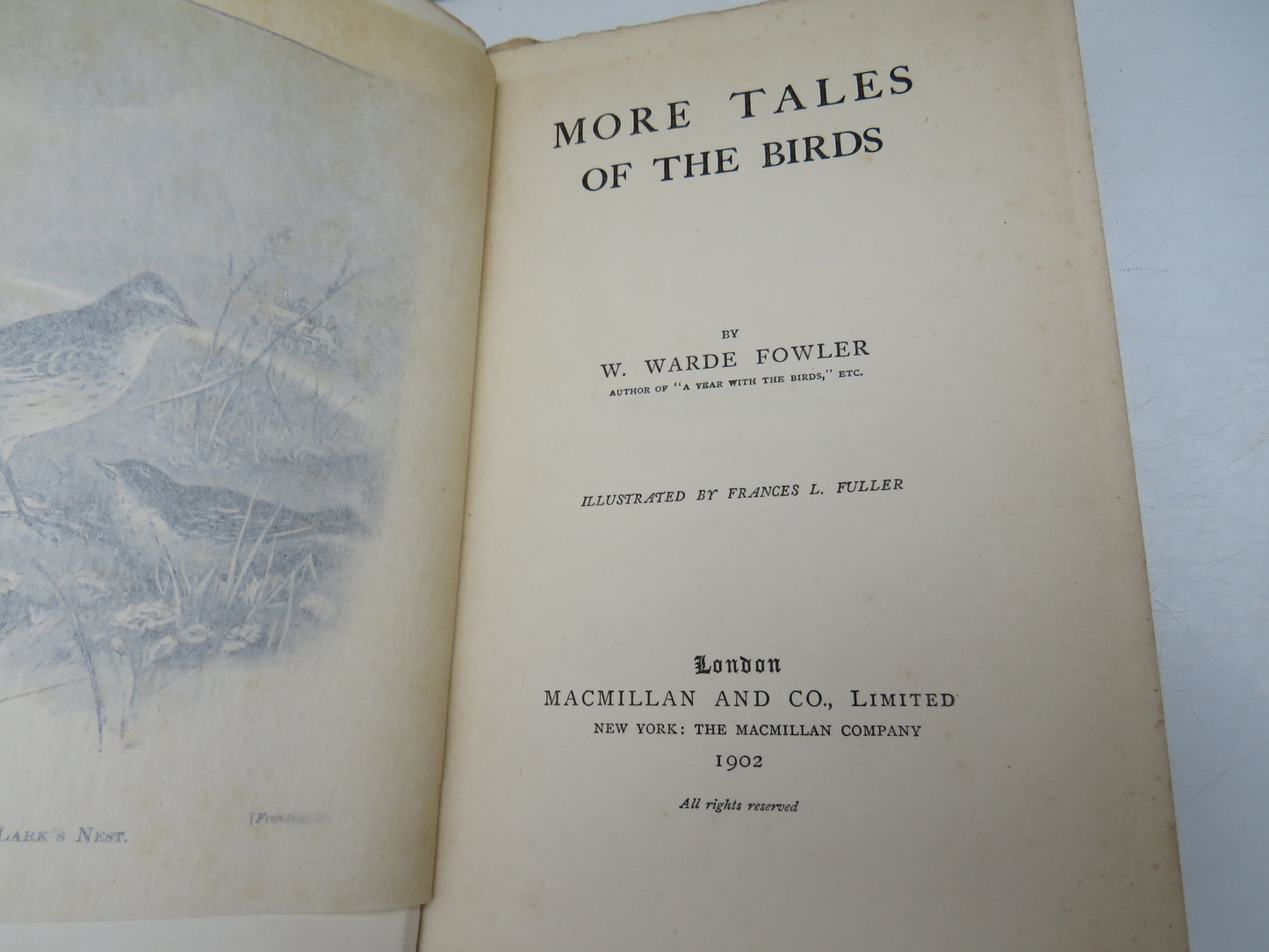More Tales of the Birds By W. Warde Fowler 1902