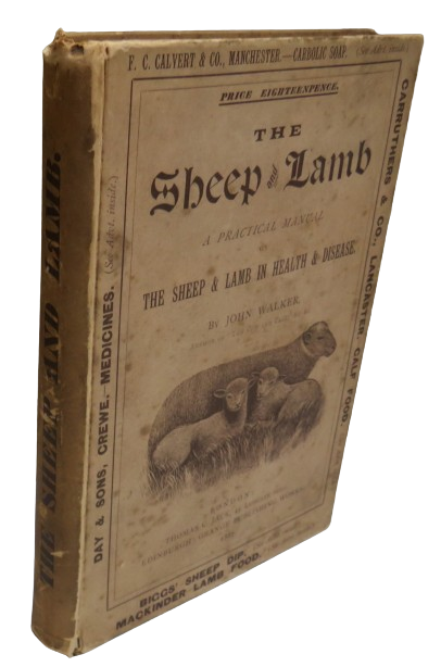 The Sheep and Lamb A Practical Manual On The Sheep and Lamb In Health and Disease By John Walker 188 book front cover