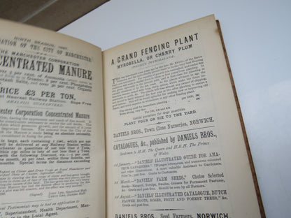 The Sheep and Lamb A Practical Manual On The Sheep and Lamb In Health and Disease By John Walker 188 book image 4