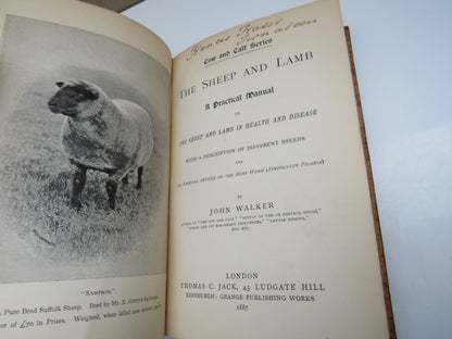 The Sheep and Lamb A Practical Manual On The Sheep and Lamb In Health and Disease By John Walker 188 book image 5