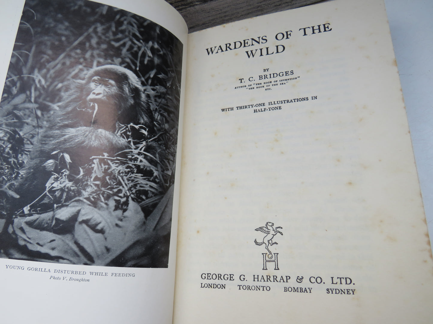 Wardens of the Wild By T.C. Bridges 1938