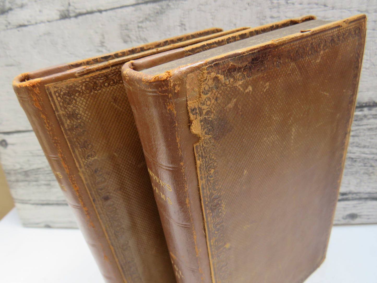 Poems By William Cowper, of the Inner Temple esq In 2 Volumes 1787