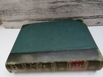 The Poetical Works of John Milton The "Albion" Edition
