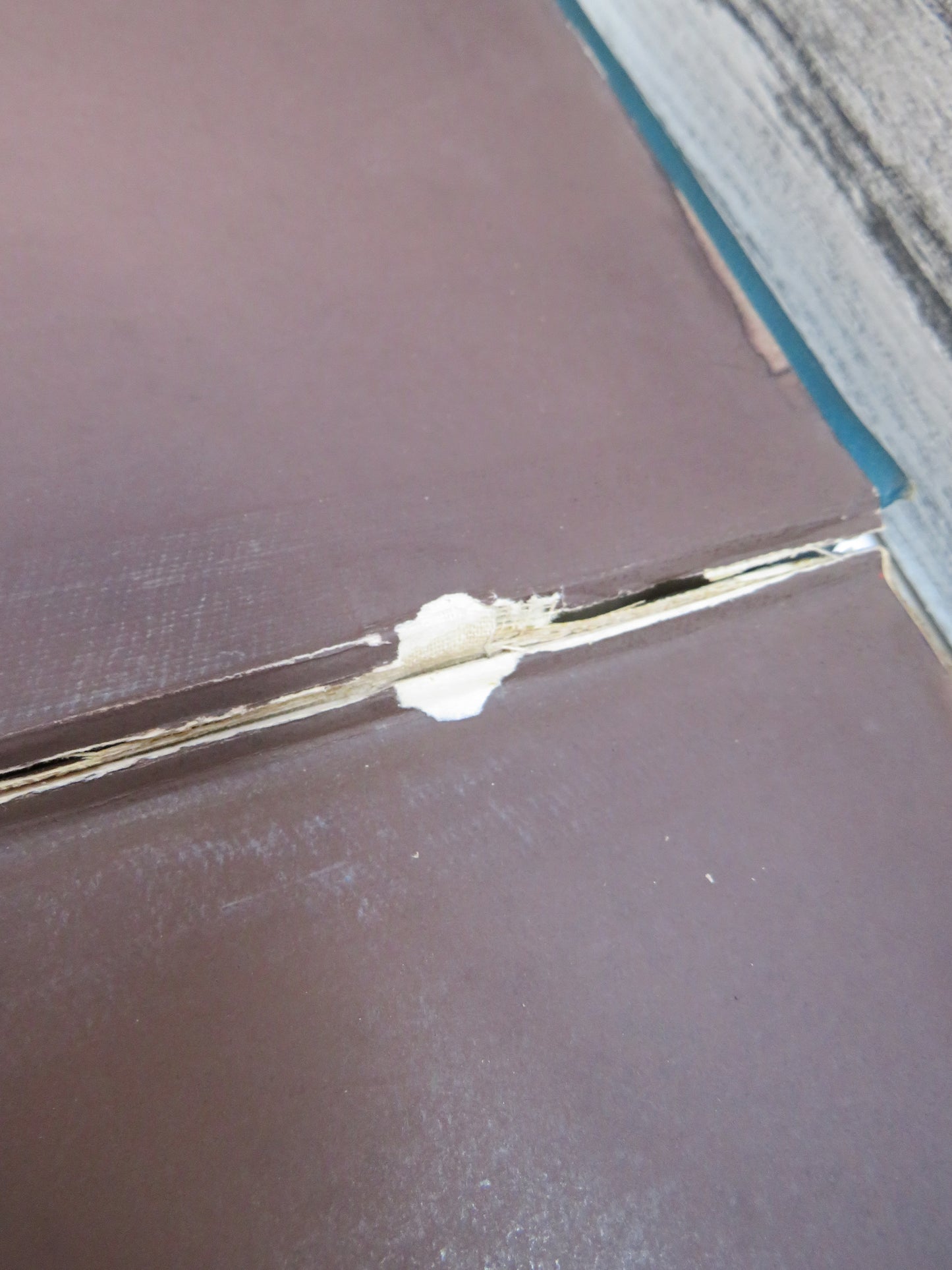 Acta Et Decreta Concilii Scotlae Plenarii Primi Post Redintegratam Hierarchiam 1888