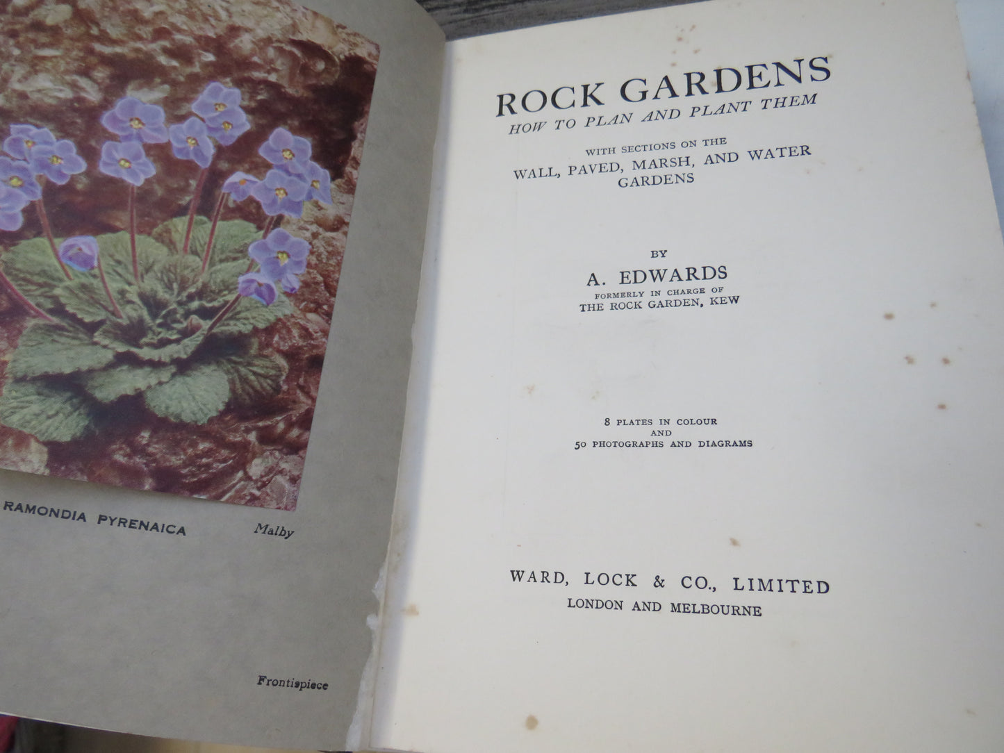 Rock Gardens How To Plan and Plant Them With Sections On The Wall, Paved, Marsh, and Water Gardens By A. Edwards 1937