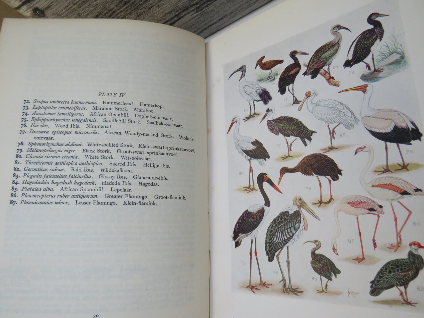 The Birds of South Africa By Dr Austin Roberts 1946