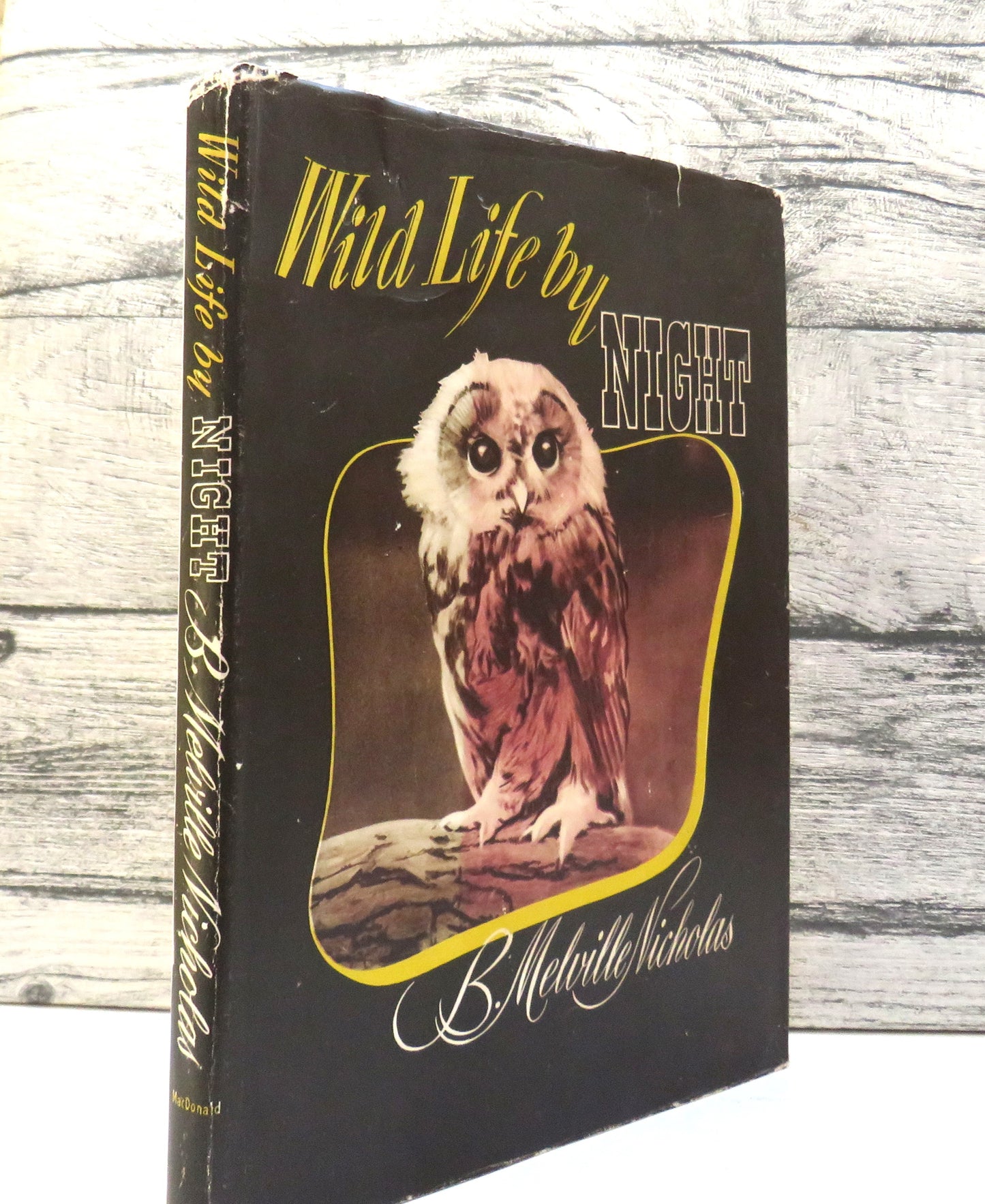 Wild Life By Night By B. Melville Nicholas 1947