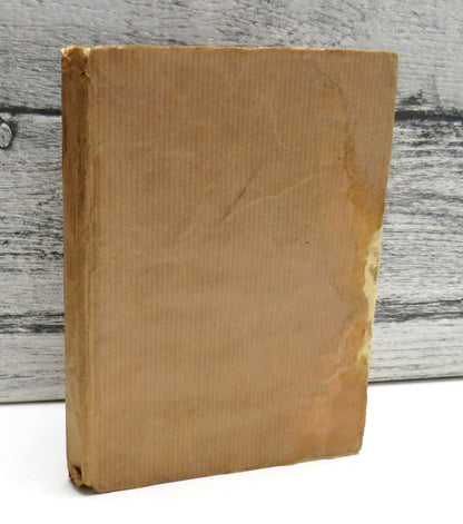 The Tale of Benjamin Bunny by Beatrix Potter, 1904 book front cover