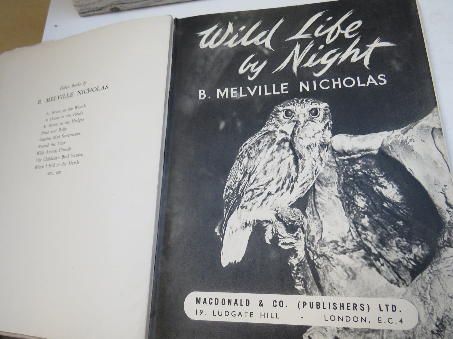 Wild Life By Night By B. Melville Nicholas 1947
