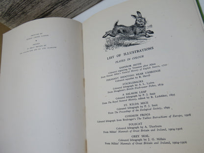 Wild Life of Britain By F. Fraser Darline 1943