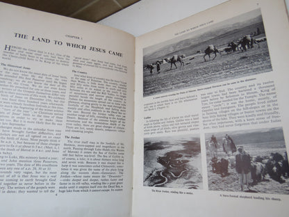 The Palestine Of Jesus Being Book Three Of Background To The Bible By Bernard R. Youngman 1959 book image 4
