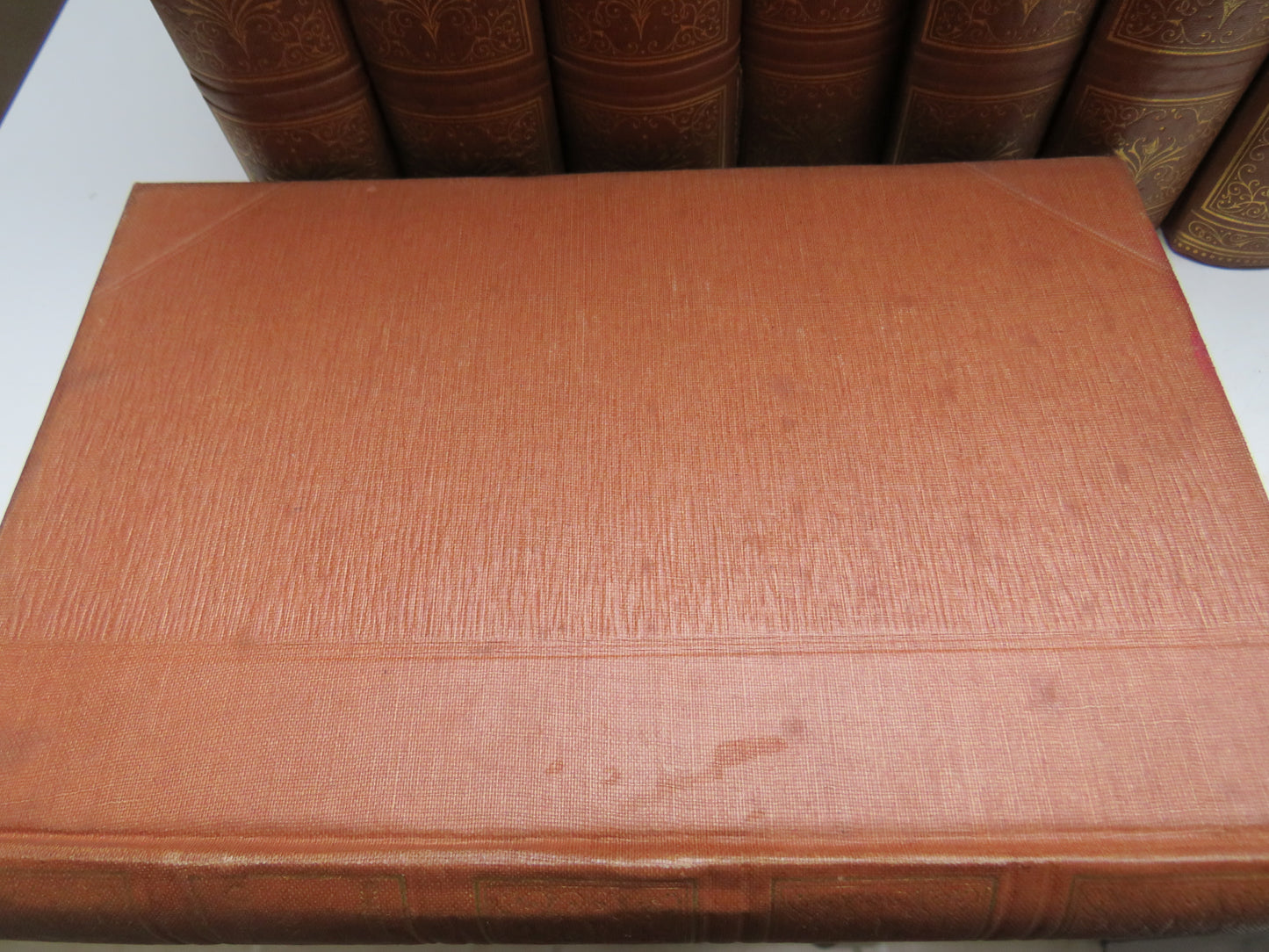 The Works of Charles Dickens In Twenty Volumes By Cassell & Company