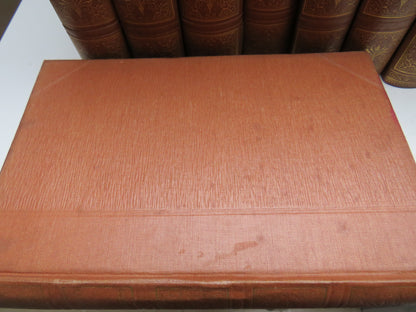 The Works of Charles Dickens In Twenty Volumes By Cassell & Company