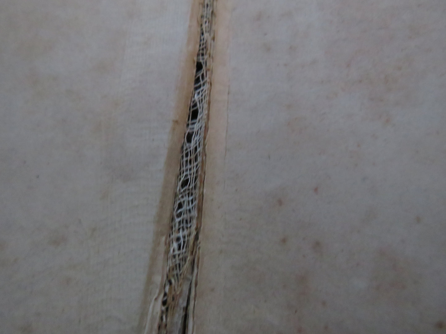 Daisy A Sequel To Melbourne House By Elizabeth Wetherell