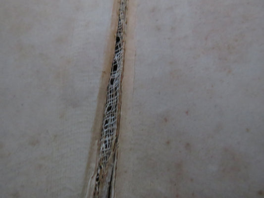 Daisy A Sequel To Melbourne House By Elizabeth Wetherell