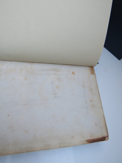 New Lands Within the Artic Circle, Narratives of the Discoveries of the Austrian Ship "Tegetthoff" i book image 3