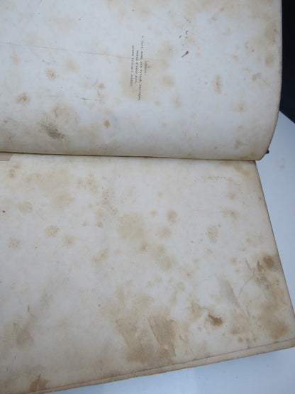 New Lands Within the Artic Circle, Narratives of the Discoveries of the Austrian Ship "Tegetthoff" i book image 5
