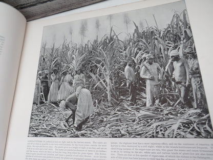 The Royal Collection Of Foreign and Colonial Views photographic reproductions of the most interestin book image 4