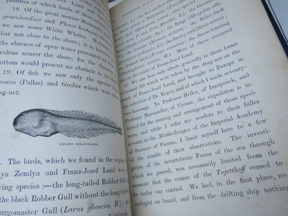 New Lands Within the Artic Circle, Narratives of the Discoveries of the Austrian Ship "Tegetthoff" i book image 12