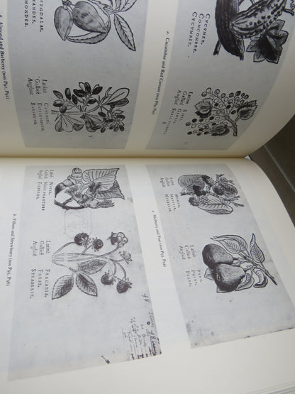 The Work Of Jacques Le Moyne De Morgues By Paul Hulton Vol I & II 1977 book image 7