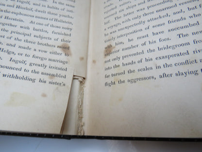 A Winter in Iceland and Lapland by The Hon Arthur Dillon, Two Volumes, 1840 book image 7