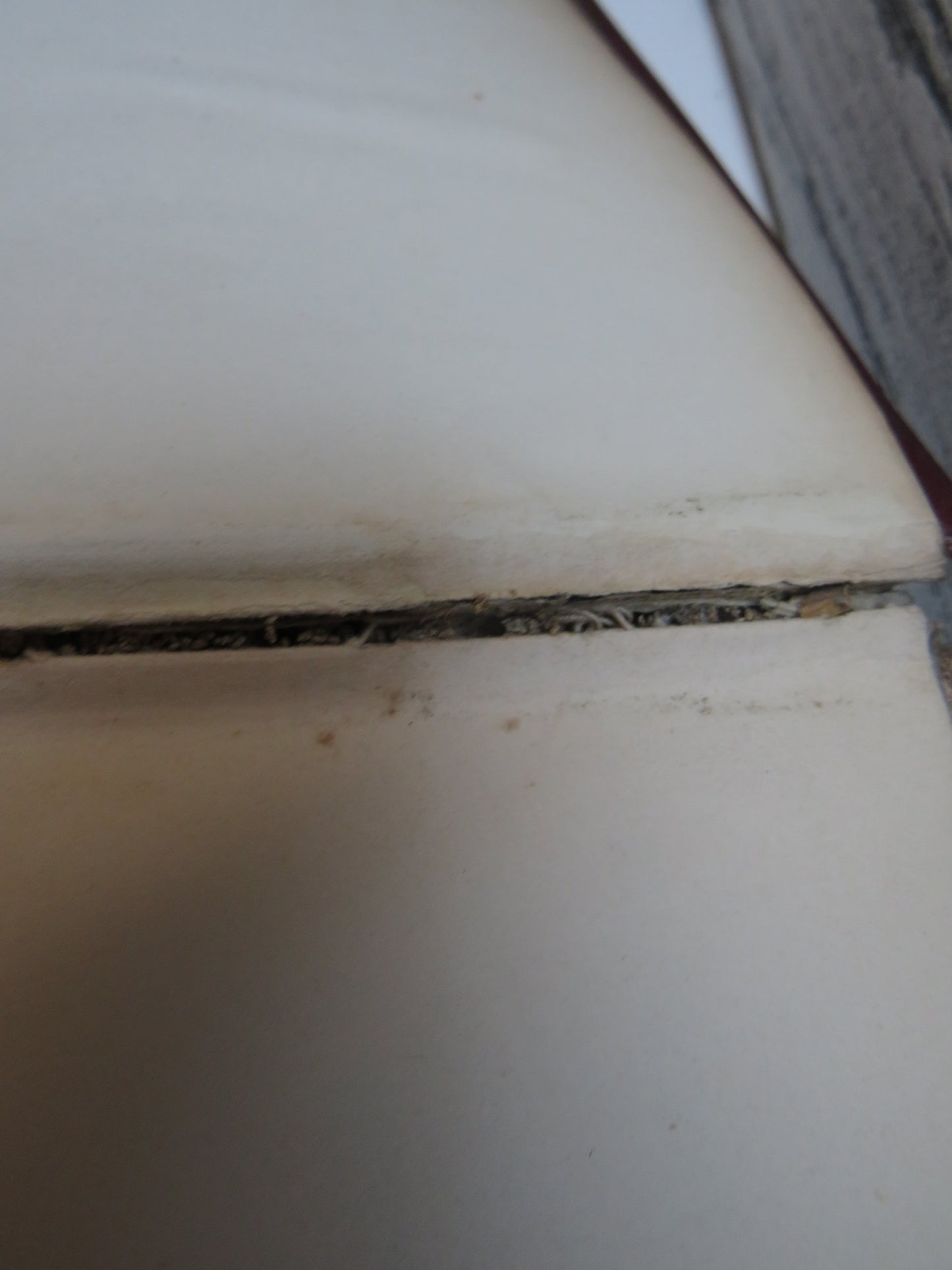 Philosophy As Scientia Scientiarum and A History of Classifications of the Sciences By Robert Flint 1904