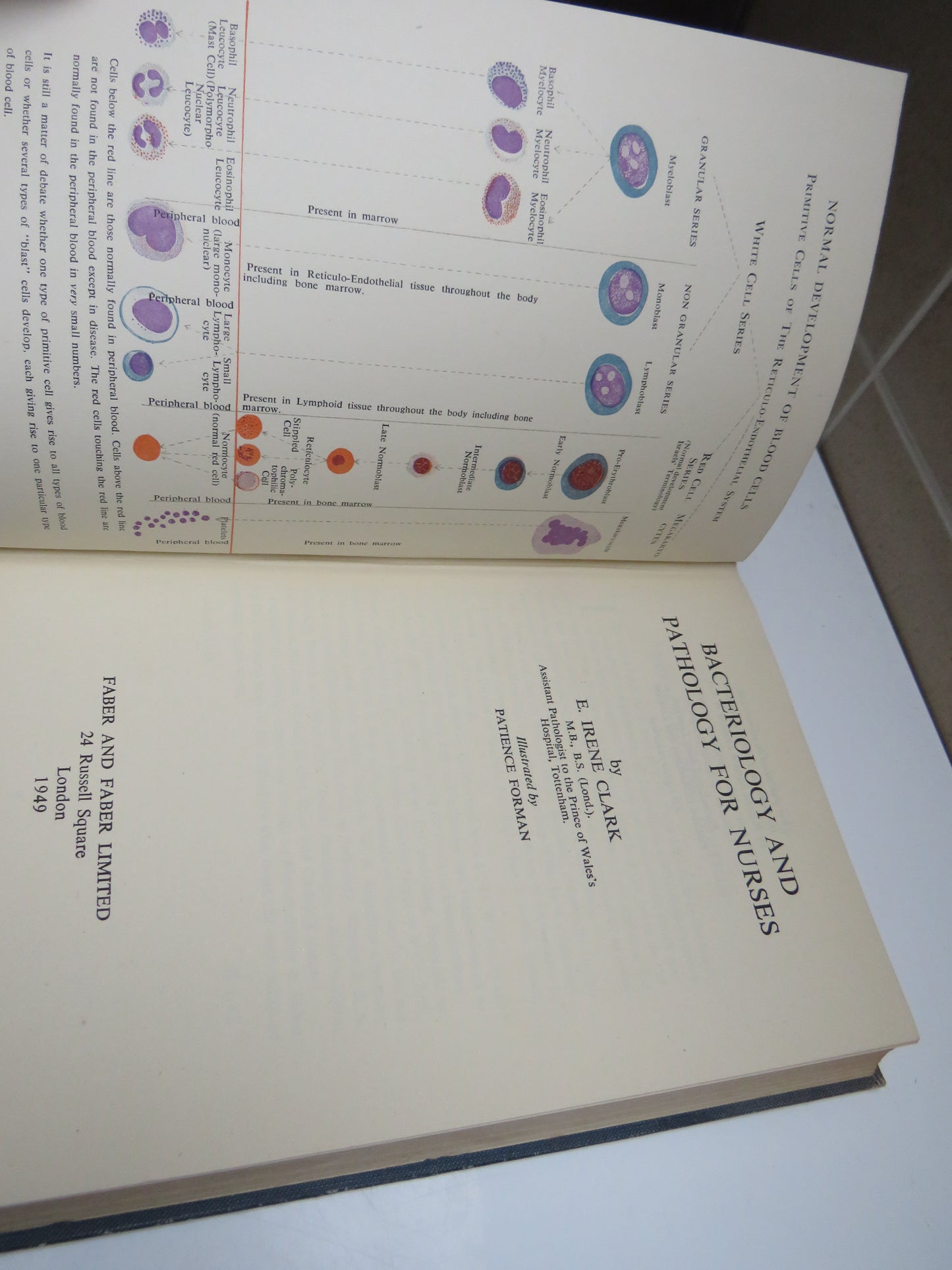 Bacteriology and Pathology For Nurses By E. Irene Clark 1949